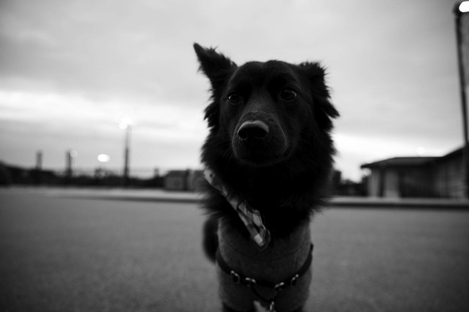 Sanni posing for the cover of her debut solo album.