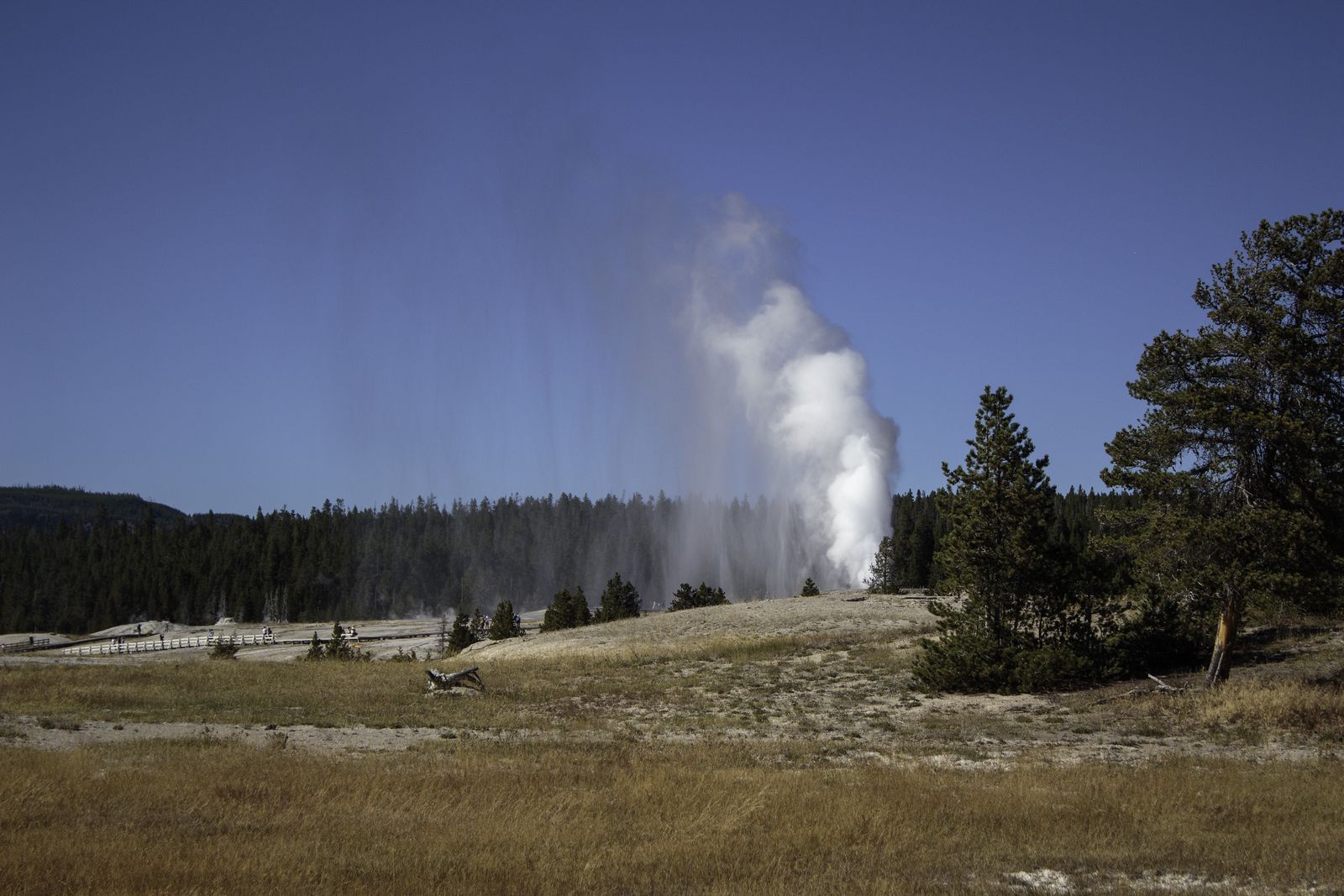 Looking at Geyser Hill