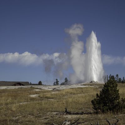 Old Faithful Erupts