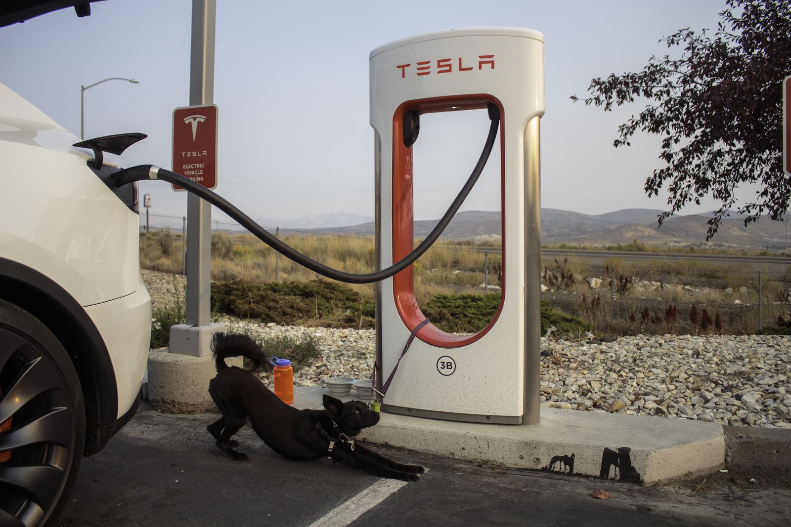 Sanni stretches while the car recharges in the evening sun.