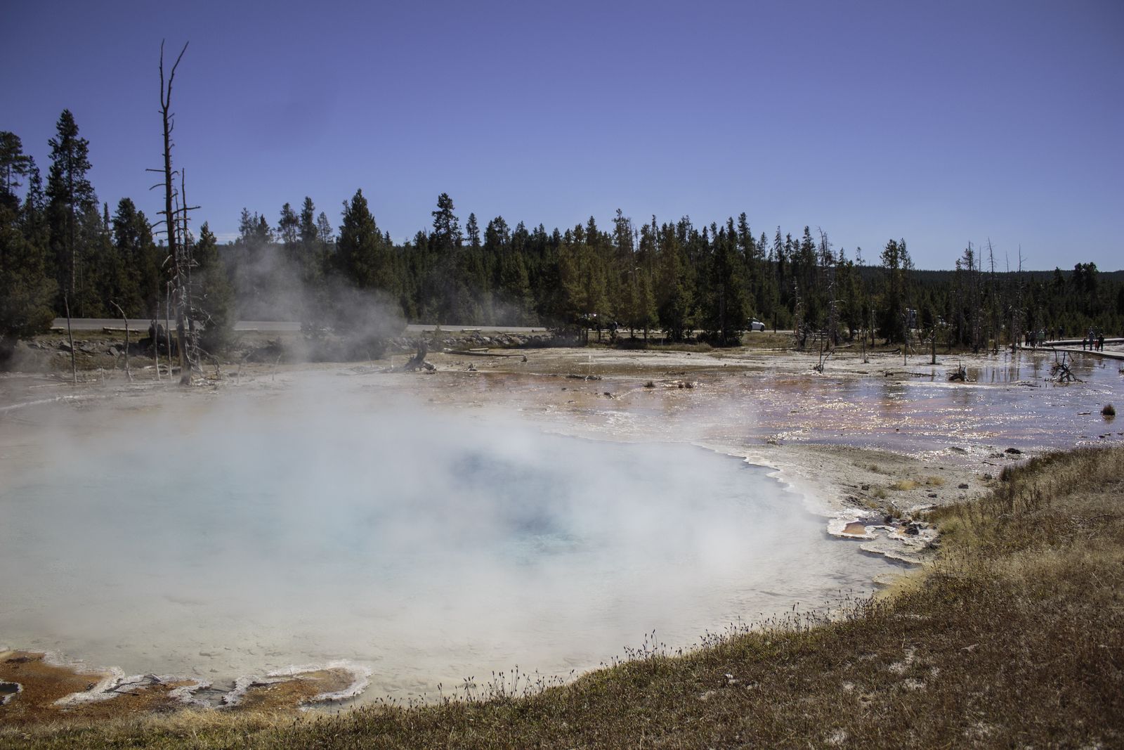 A hydrothermal feature at Yellowstone.